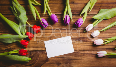 Tulips forming frame around white card