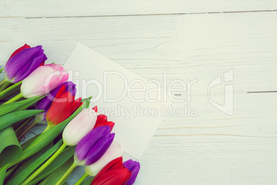 Colorful tulips and white card