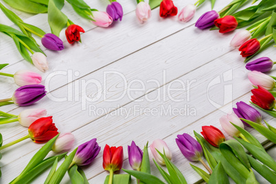 Tulips forming frame