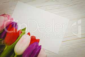 Colorful tulips and white card