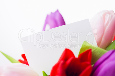 Bunch of tulips and white card