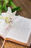 Lily flower resting on open bible
