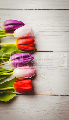 Tulip on wooden table