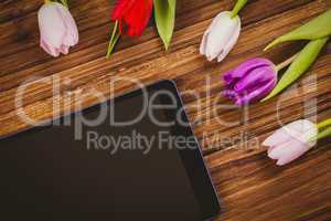 Tulips forming frame around tablet