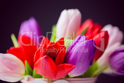 Bunch of tulips