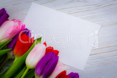 Colorful tulips and white card