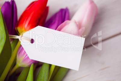 Bunch of tulips and white card