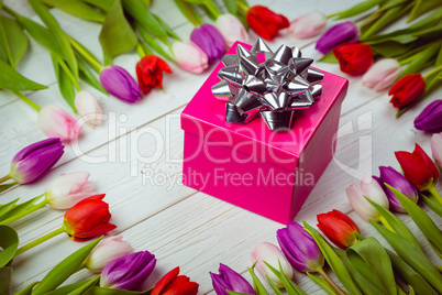 Tulips forming frame around gift