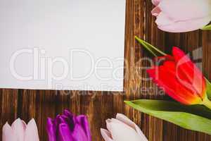 Tulips forming frame around white card