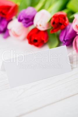 Colorful tulips and white card