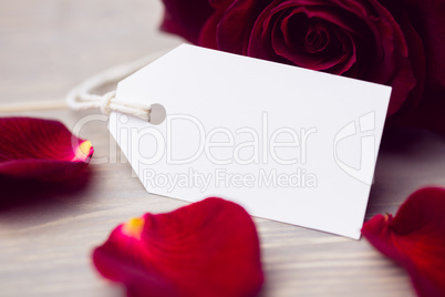 Rose petals and white card