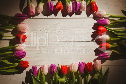 Tulips forming frame