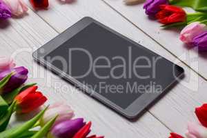 Tulips forming frame around tablet