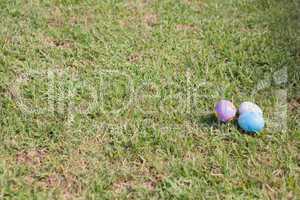 Easter eggs on the grass