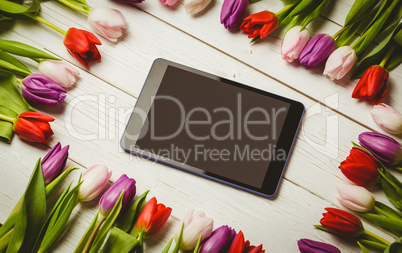 Tulips forming frame around tablet