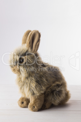 Stuffed bunny rabbit