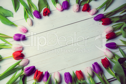 Tulips forming frame