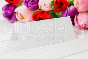 Colorful tulips and white card