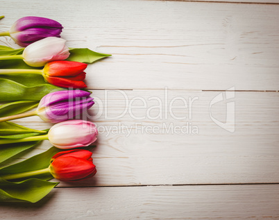 Tulips on wooden table