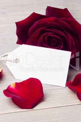 Rose petals and white card