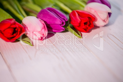 Tulips on wooden table