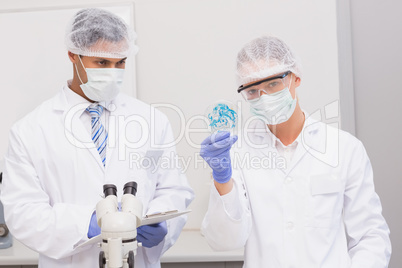 Scientists examining petri dish