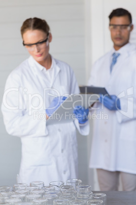 Concentrated scientists looking at beakers