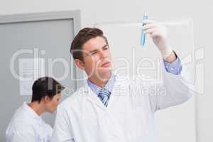 Scientists working attentively with test tube and computer