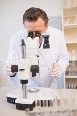 Food scientist holding test tube with seeds and looking through