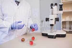 Scientist injecting strawberry