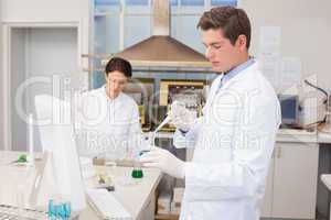 Scientists working attentively with test tube