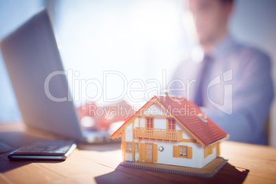 Estate agent using laptop at desk