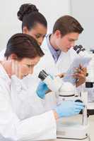 Scientists using microscope and tablet pc
