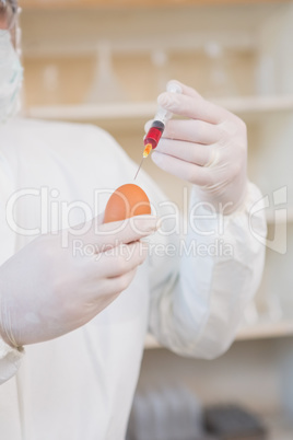 Scientist injecting egg