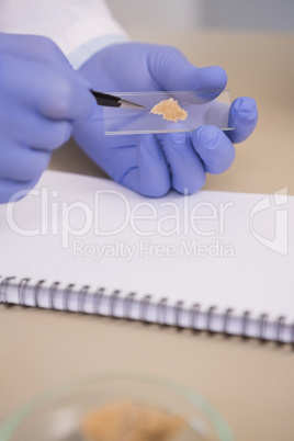 Scientist examining pieces of bread