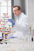 Scientist analysing dna helix