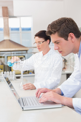 Scientist working attentively with laptop and another with beake