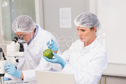 Scientists examining green pepper