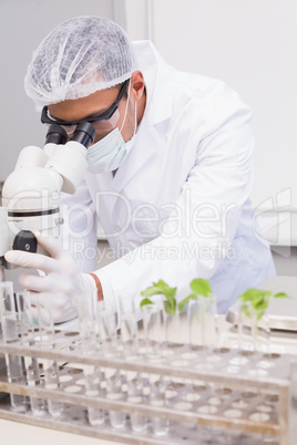 Focus scientist using microscope