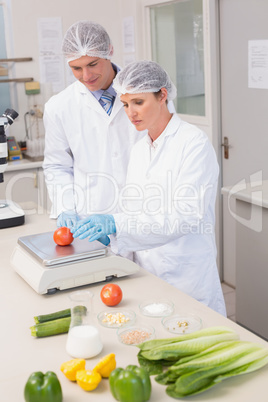 Scientists weighing tomato