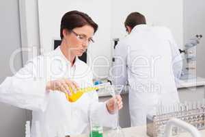 Scientists working attentively with test tube and computer