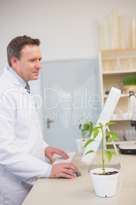 Scientist using computer