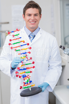 Smiling scientist holding dna model