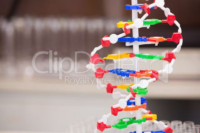 Dna helix model