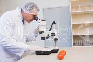 Food scientist looking through a microscope