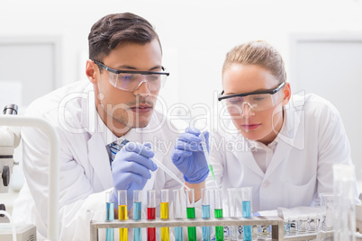 Focused scientists examining test tube