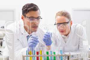 Focused scientists examining test tube