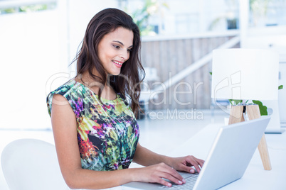 Smiling beautiful brunette using her laptop