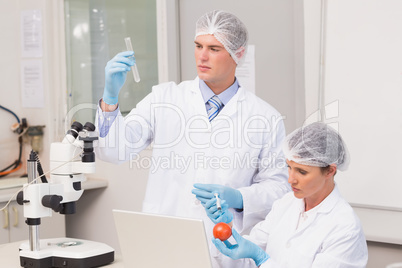 Scientists examining tomato