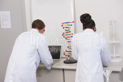 Scientists working with laptop